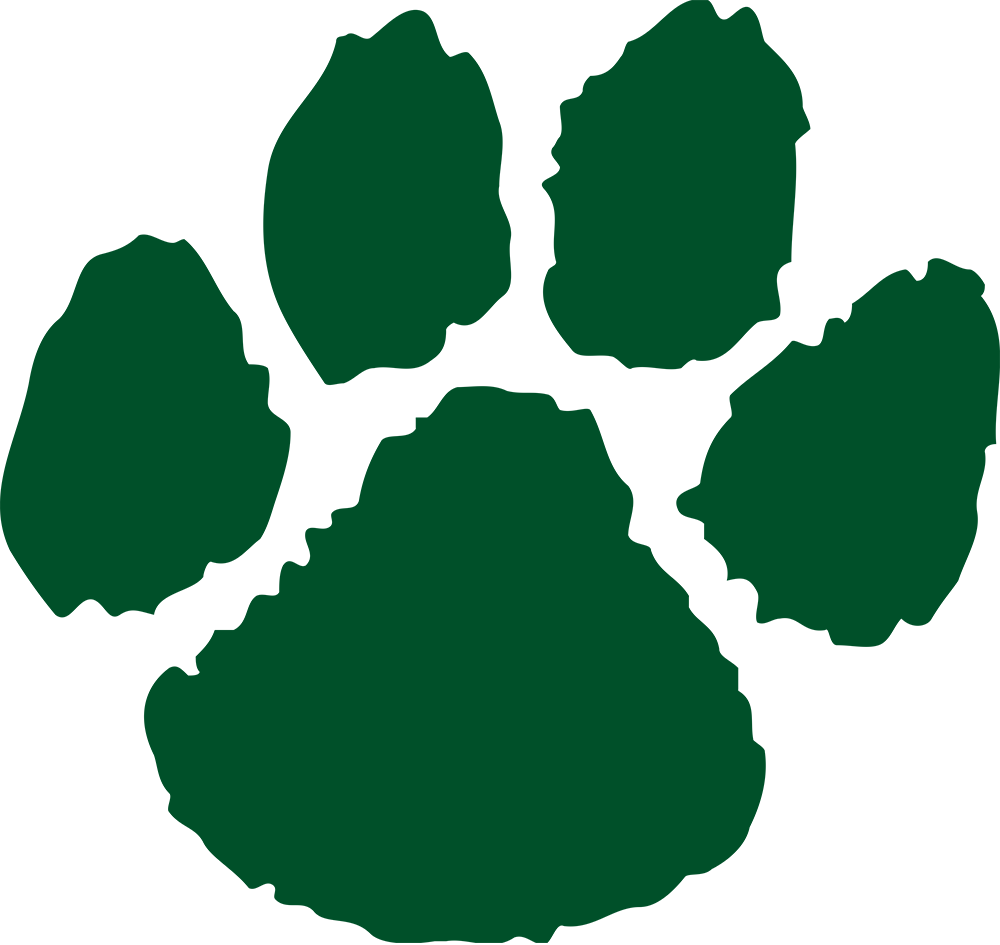 Northern Michigan Wildcats 0-Pres Alternate Logo v2 iron on transfers for clothing